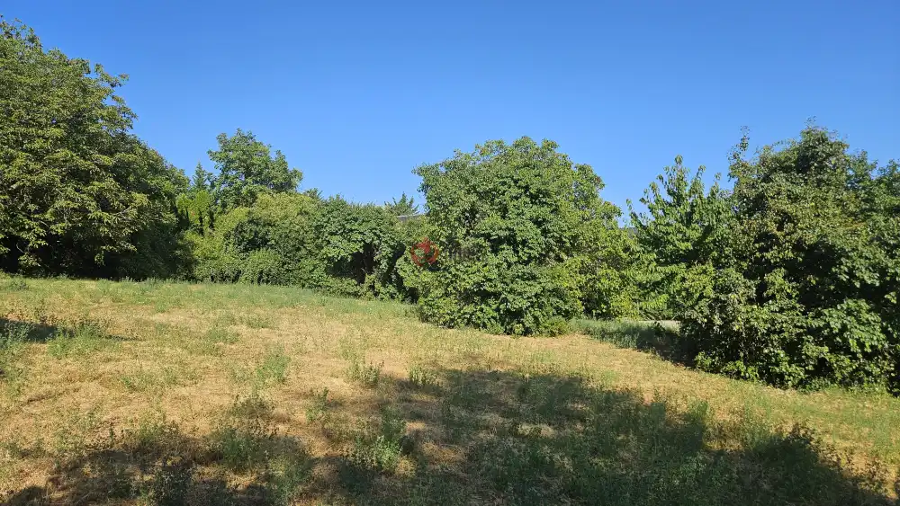 Pest megye - Budakeszi