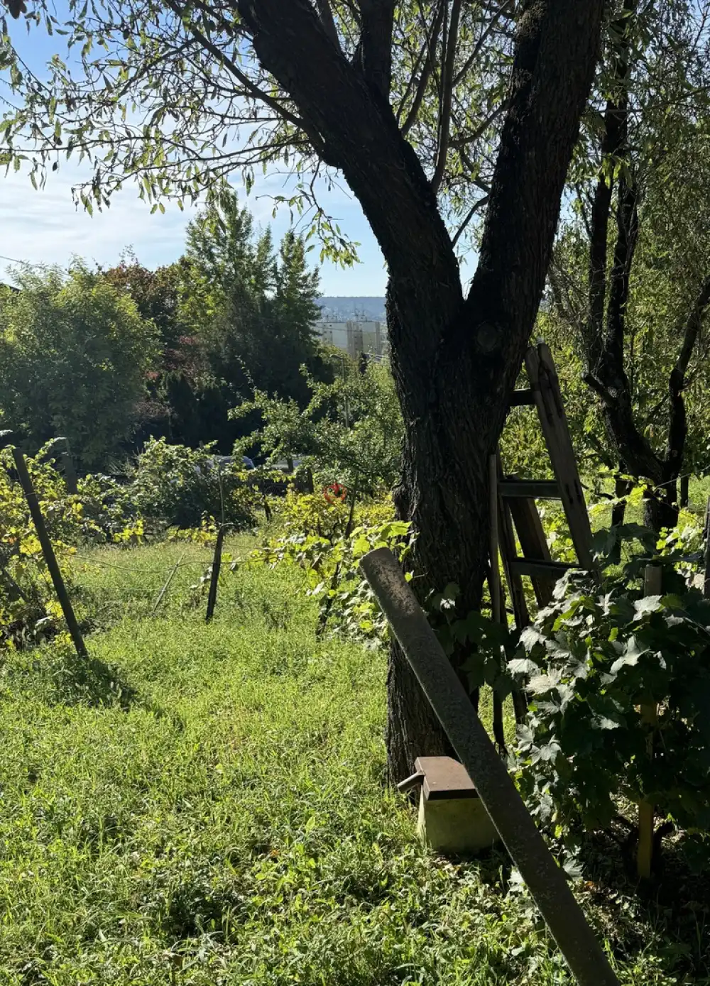 Pest megye - Budaörs