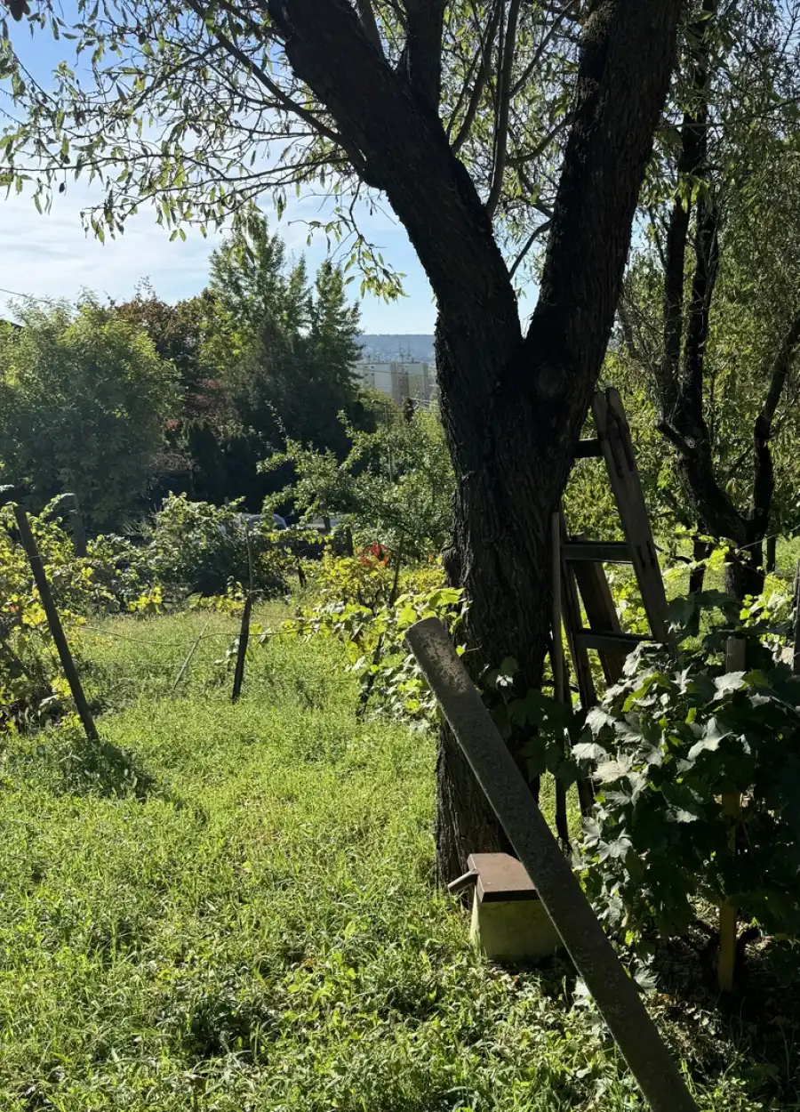 eladó  Építési telek, Budaörs