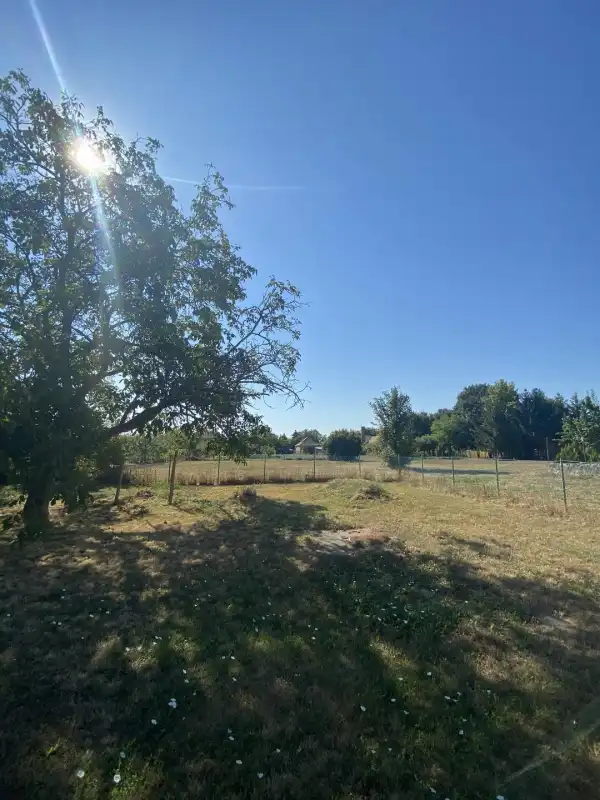 Eladó Építési telek, Daruszentmiklós 1809 m² 3 M Ft