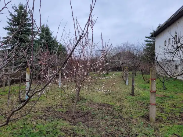 Eladó Építési telek, Nyíregyháza 700 m² 7 M Ft