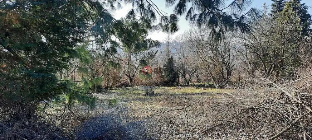 Pest megye - Verőce