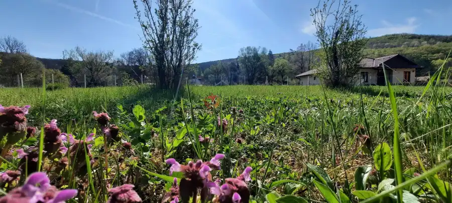 eladó  Építési telek, Zebegény