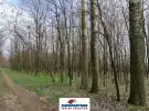 Pest megye - Csemő