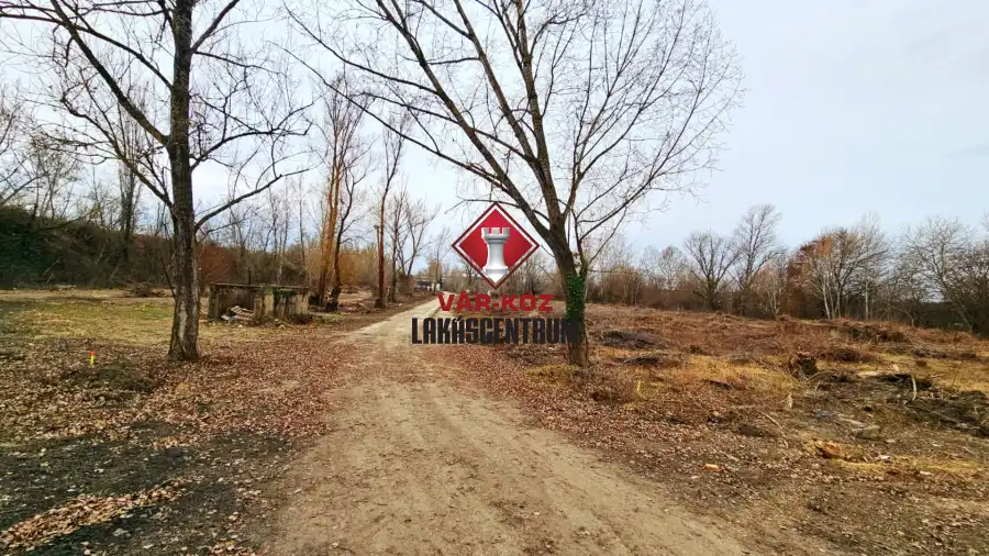 eladó ipari ingatlan, Martonvásár