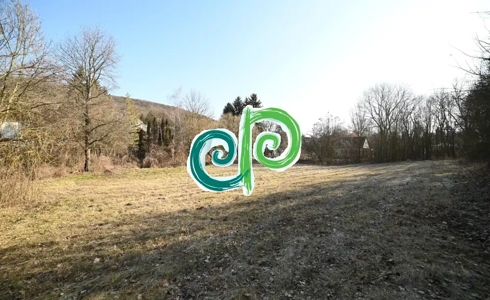 Pest megye - Remeteszőlős