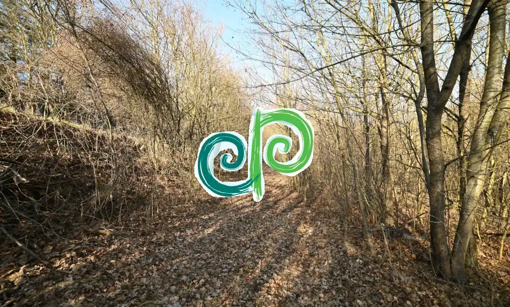 Pest megye - Remeteszőlős