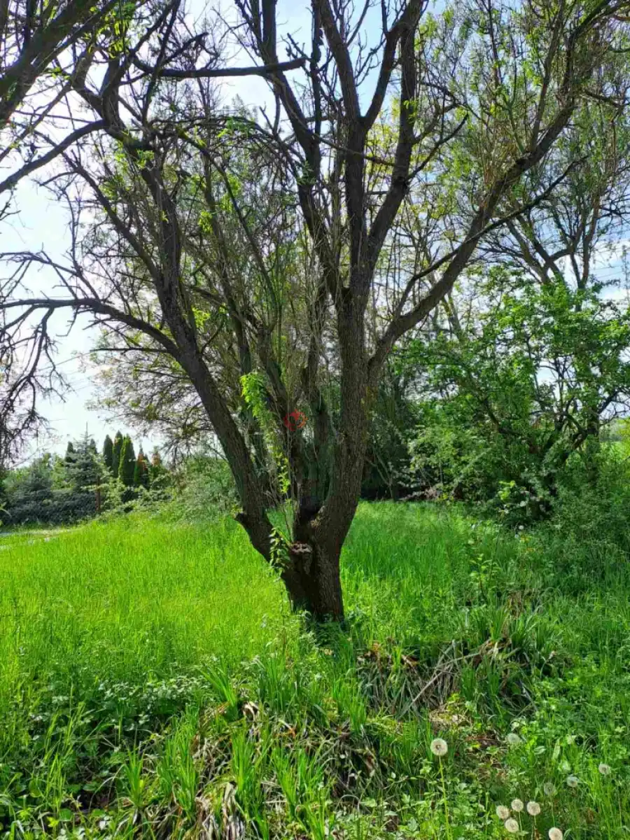 eladó  Üdülő, Balatonkenese