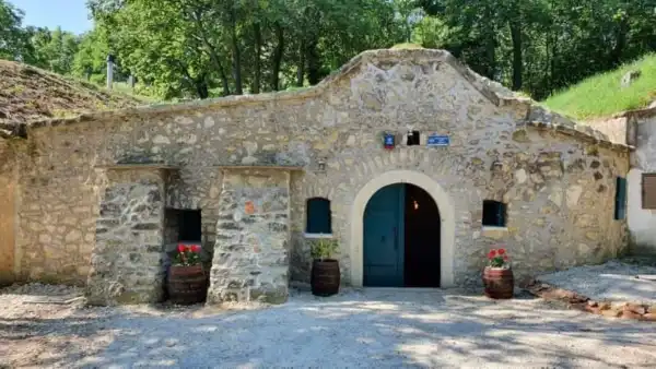 Eladó vendéglátás, Páty 302 m² 45 M Ft